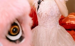 男同网gv免费视频网站